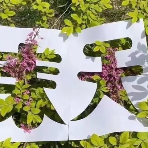 “时光恰好·遇见春天”     ---记三年级（7）班银杏春芽节活动