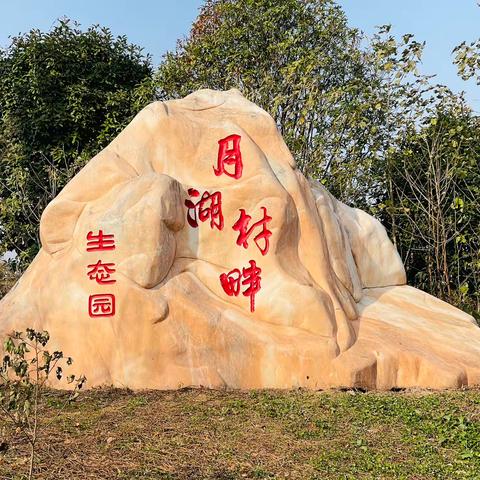 游月湖农庄 获过年鹅两只