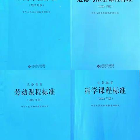 拨云见日终有时  一碧万顷醉晴空——记元宝山矿区小学语文及综合学科新课标、教材学习与探讨纪实