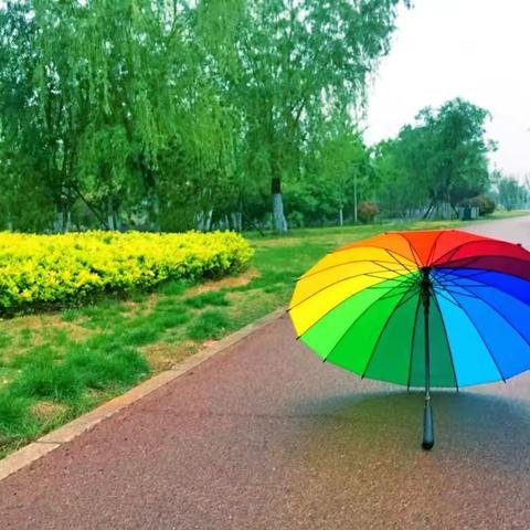 《雨中龙湖》