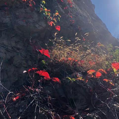 重阳登高·忻州七岩山