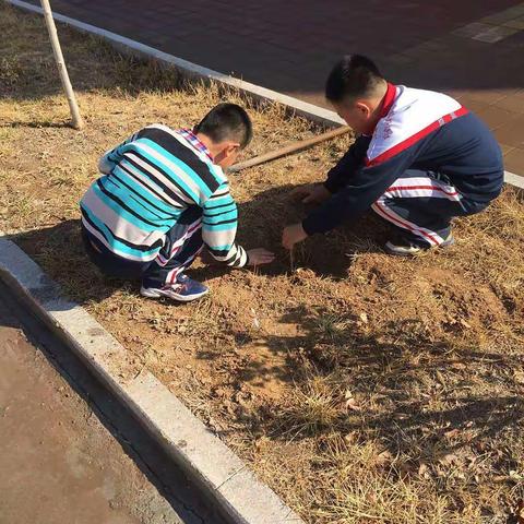 春回大地花千树，万物勃发绿盎然。