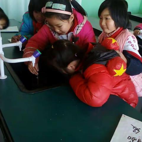 三年级科学实验课