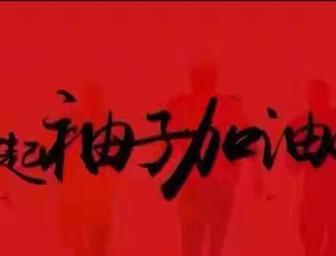 孟寨乡第一党支部工作纪实