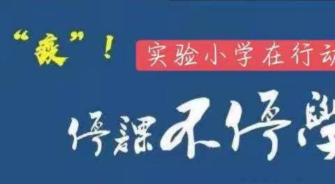 特殊假期，别样风采                         ──“停课不停学，成长不延期”