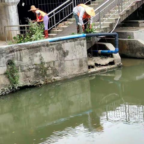 金沙街市政服务所开展全域环境综合整治大行动工作简报