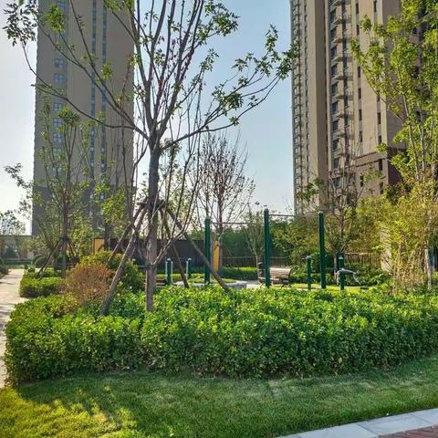 荣科丽苑八月份工作简报