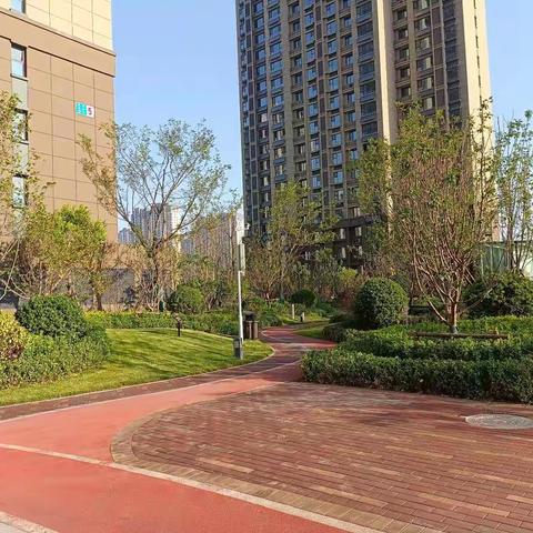 荣科丽苑美园行动