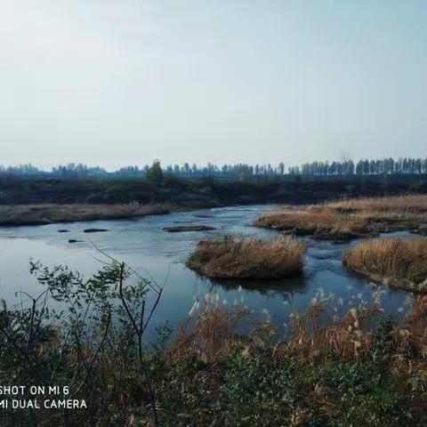 晨钟暮鼓沣水河岸