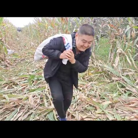 财政干部奏响抢收抢种“奋进曲”