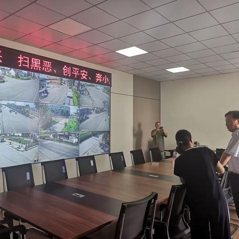 县委常委、政法委书记桓贯超到乡镇督导调研“雪亮工程”、防溺水和人居环境工作