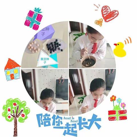 女人如花的美篇