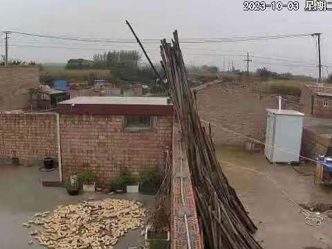 秋雨