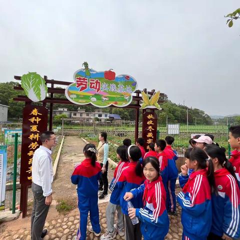 劳动促交流  结对共成长 ——城区小学与裴家小学手拉手春季种植实践活动