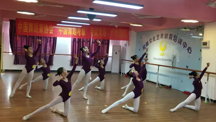 中国舞蹈考级八级2019.1.20