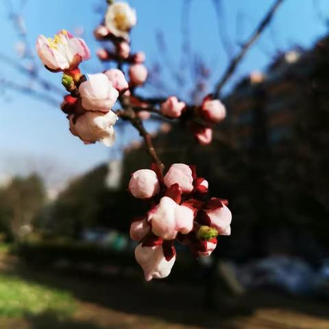 疫情期间春季保护健康小知识