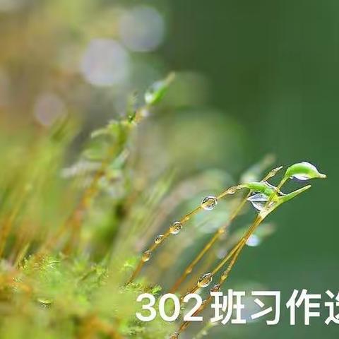 如米苔花开一一302班学生习作(二）