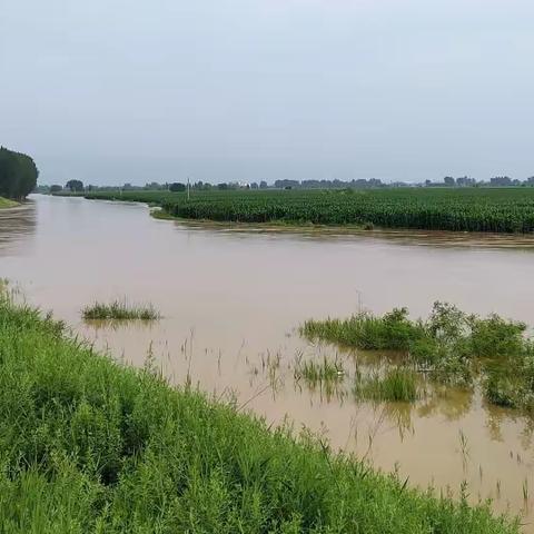 2023夏季暴雨后