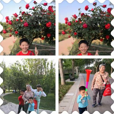 拥抱大自然，趁春色正好，与美相伴