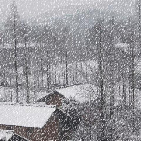 双龙小学雨雪冰冻极端天气安全教育致家长一封信