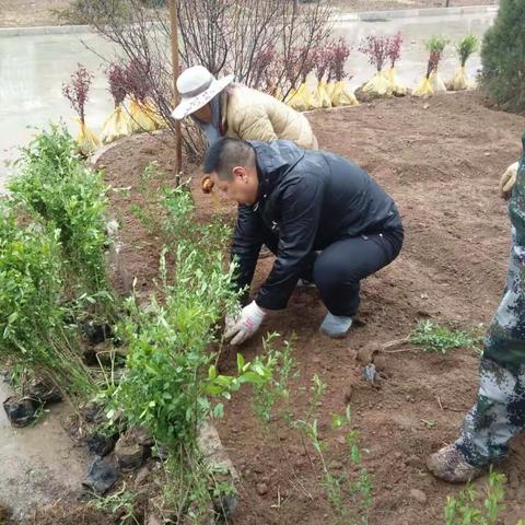 公司员工在领导的带领下到污水处理厂绿花厂区