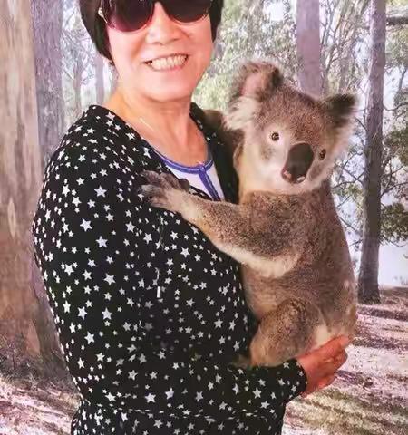 2017年12月新西兰，澳大利亚旅游。