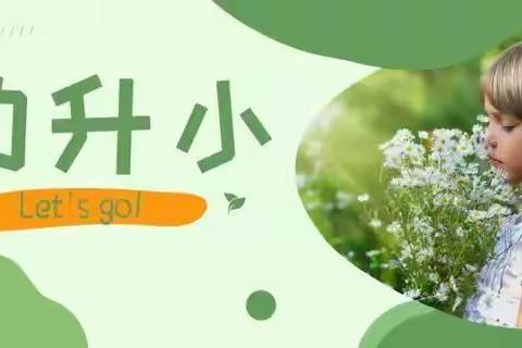 【幼小科学衔接专栏】花开有度，衔接有方—平陆县党政机关幼儿园大班致家长的一封信