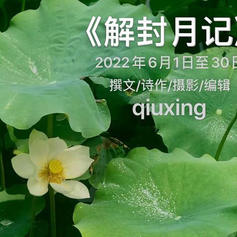 《解封月记》2022/6.1-6.30