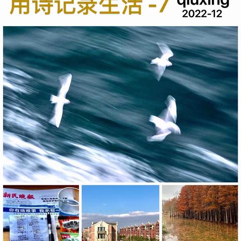 用诗记录生活 - 7