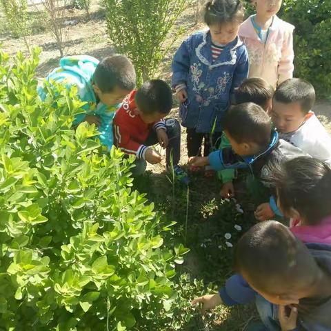 乐贝尔幼儿园欢迎您