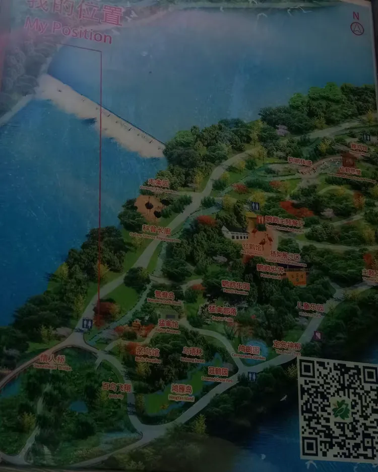 去沈阳鸟岛,享受大自然的馈赠