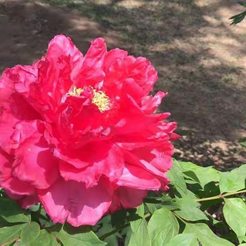 不负春光不负己