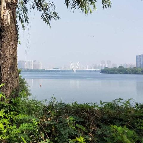 小别离
