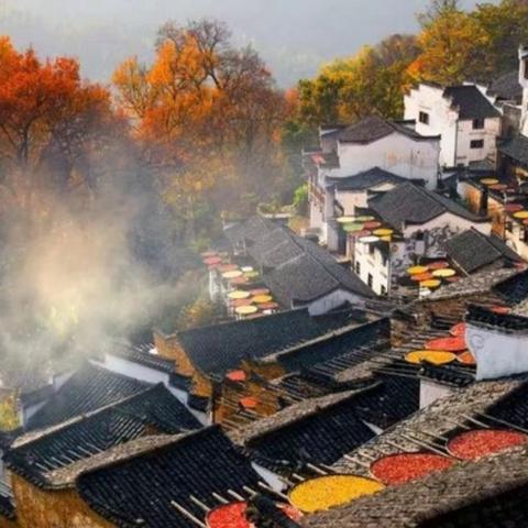 深秋里的浪漫——赣皖之行记