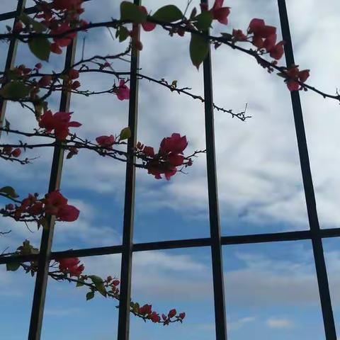 2021年爱阅图书馆计划阳春捐赠活动