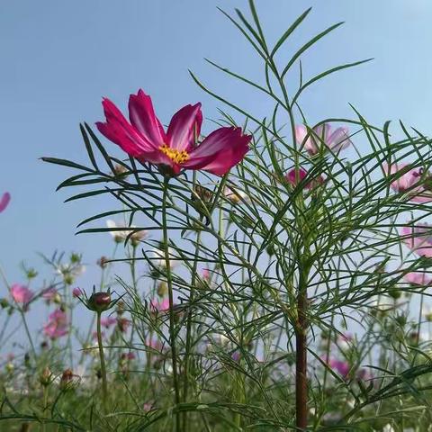 美丽的云山绿湖