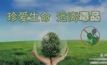 思南县枫芸幼儿园《珍爱生命，远离毒品》宣传