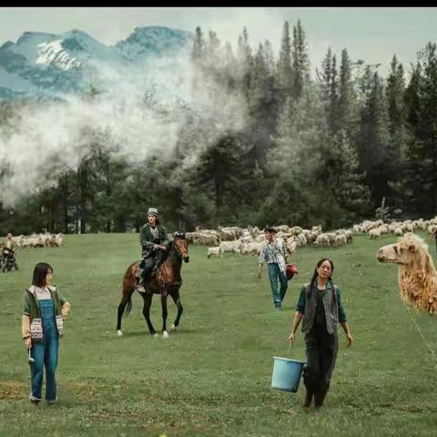 我的阿勒泰