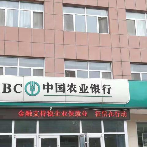 农业银行乐陵市支行“6.14信用记录关爱日”主题宣传