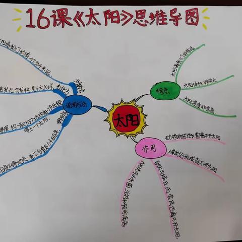 巧用思维导图     梳理文章重难点