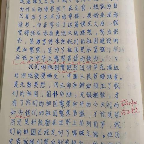 12周小练笔反馈