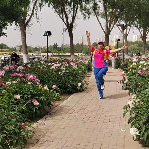 人间重晚晴，龙友六一行