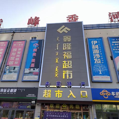 王志民大松树的美篇