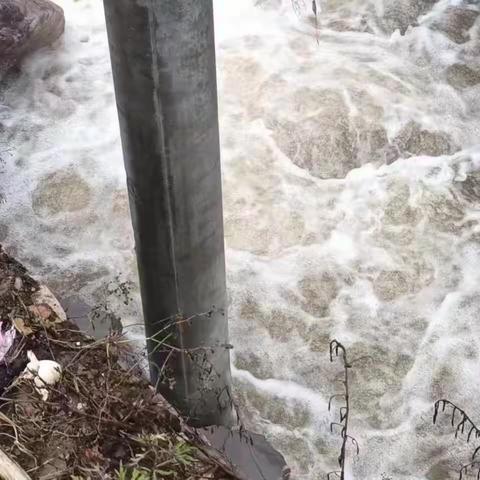 暴风雨中的逆行者