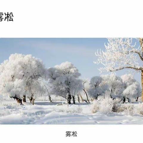 今日大雪