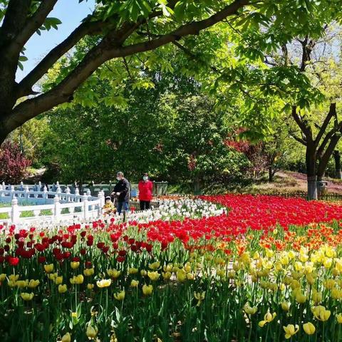 春意盎然    多彩多姿