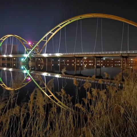 夜色阑珊潍河秀美