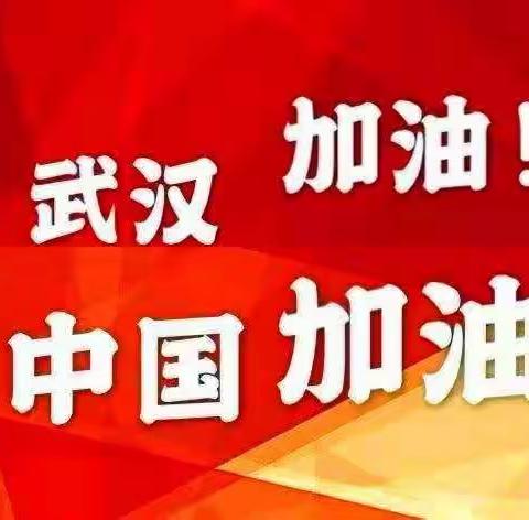 武汉加油！中国加油！——平顶山市湛河区实验小学二(7)班抗击疫情助力