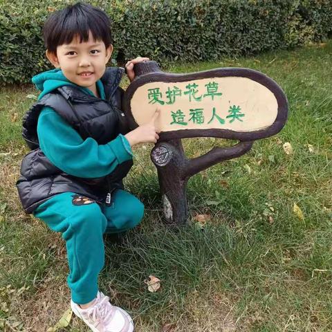 落实“双减”，周末特色作业设计——蒲东街道实验小学一年级五班