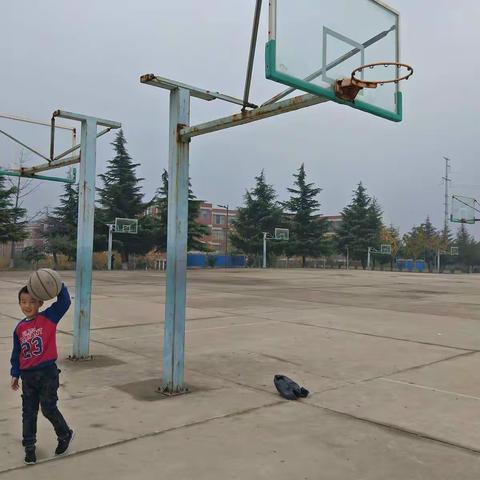 可爱的篮球🏀